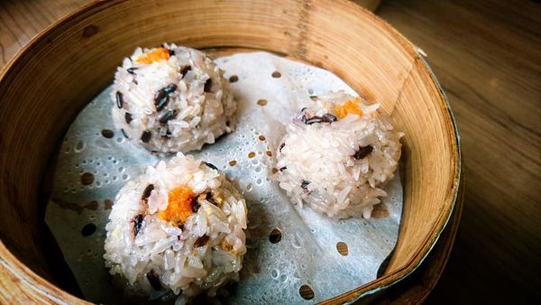 61159203_2435035103194831_8579466524044034048_n