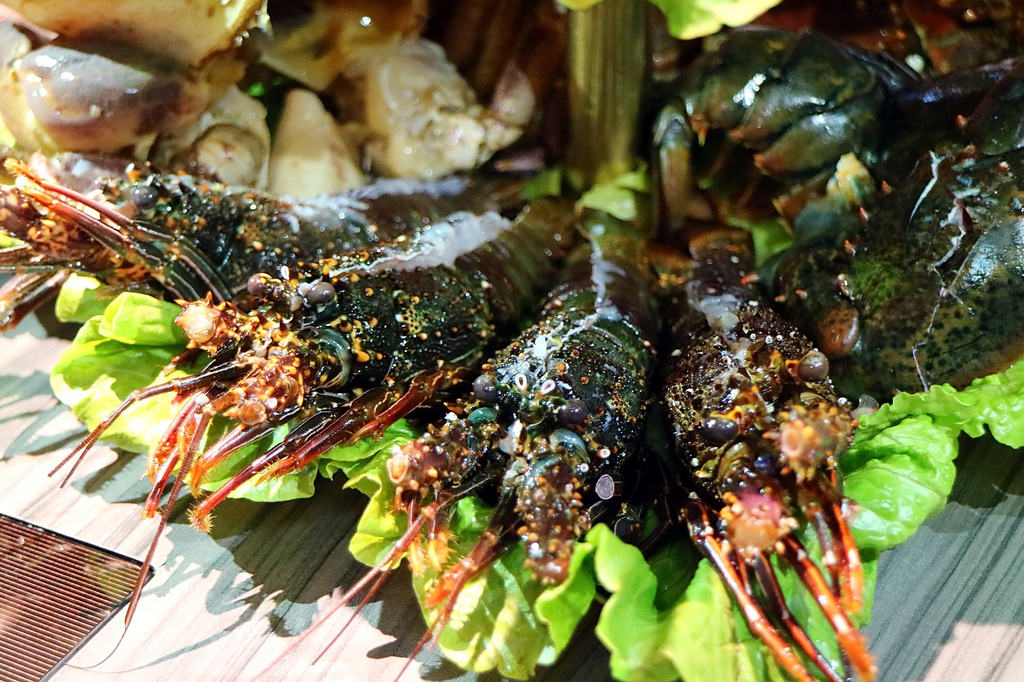 20180201 #1_180201_0034