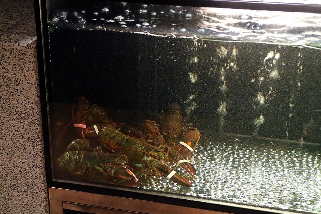 20180201 #1_180201_0070