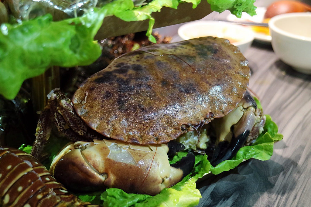 20180201 #1_180201_0036