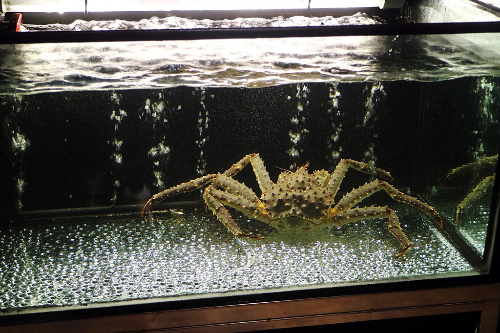 20180201 #1_180201_0071