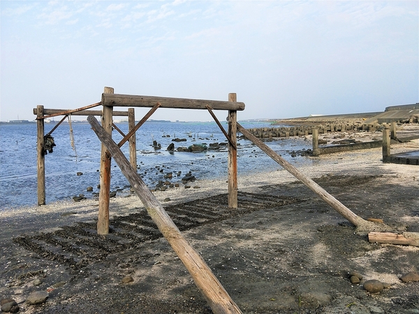 福寶濕地漂流木:【彰化福興景點】福寶濕地漂流木~沉淪在末日之美,漂流木如同一座死寂的森林,婚紗外拍取景