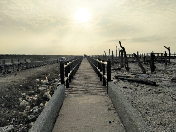 福寶濕地漂流木:【彰化福興景點】福寶濕地漂流木~沉淪在末日之美,漂流木如同一座死寂的森林,婚紗外拍取景