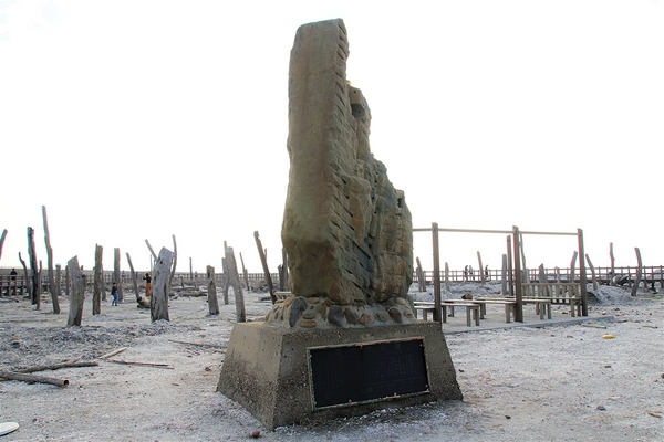 福寶濕地漂流木:【彰化福興景點】福寶濕地漂流木~沉淪在末日之美,漂流木如同一座死寂的森林,婚紗外拍取景