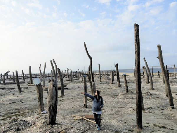 福寶濕地漂流木:【彰化福興景點】福寶濕地漂流木~沉淪在末日之美,漂流木如同一座死寂的森林,婚紗外拍取景