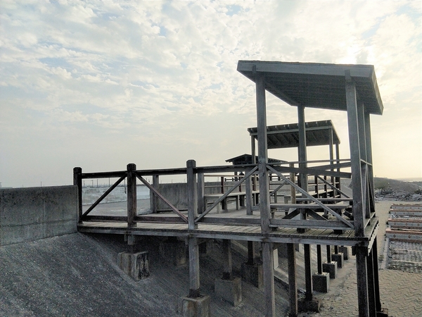 福寶濕地漂流木:【彰化福興景點】福寶濕地漂流木~沉淪在末日之美,漂流木如同一座死寂的森林,婚紗外拍取景