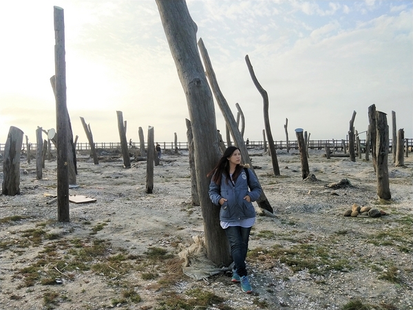 福寶濕地漂流木:【彰化福興景點】福寶濕地漂流木~沉淪在末日之美,漂流木如同一座死寂的森林,婚紗外拍取景