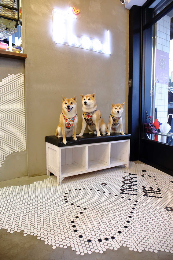 【食。中和】貳Hood.cafe〜中永和早午餐推薦。被乾燥花包圍，一秒走進少女的夢幻國度，入口即化的舒芙蕾，療癒系甜點！