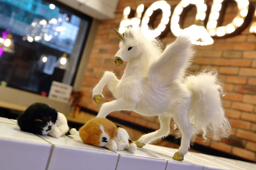 【食。中和】貳Hood.cafe〜中永和早午餐推薦。被乾燥花包圍，一秒走進少女的夢幻國度，入口即化的舒芙蕾，療癒系甜點！