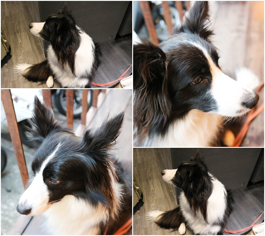 小滿苑燒肉 (124)