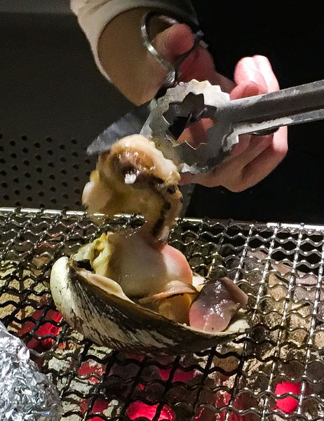 IMG_4285.JPG IMG_4285.JPG