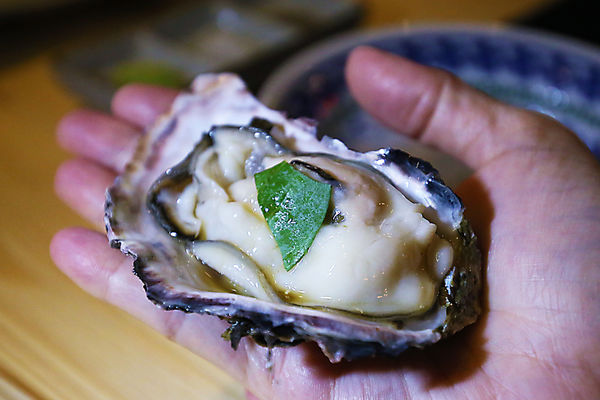 IMG_0041.JPG IMG_0041.JPG