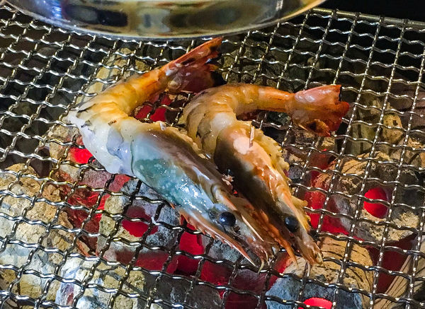 IMG_4281.JPG IMG_4281.JPG