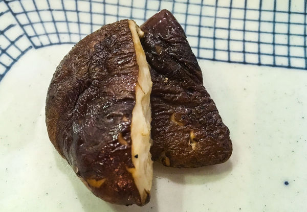 IMG_4283.JPG IMG_4283.JPG