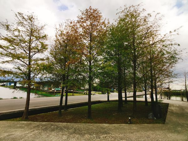 古堡party餐廳-7.JPG 古堡party餐廳-7.JPG