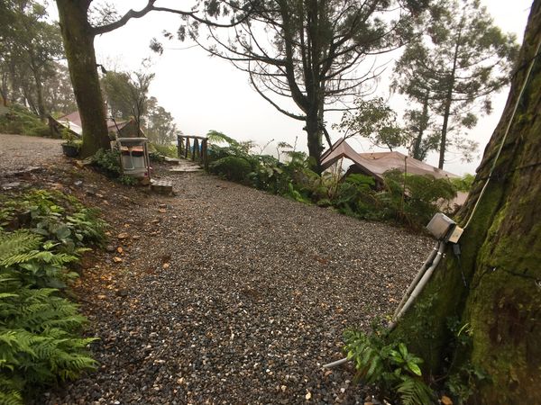 宜蘭礁溪 衫林奇蹟-4.JPG