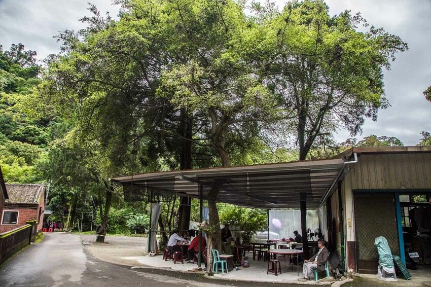 桃園市大溪區阮家莊土雞城-老大店｜連google都會迷路？荒山野嶺超偏僻土雞城，沒預約吃不到唷