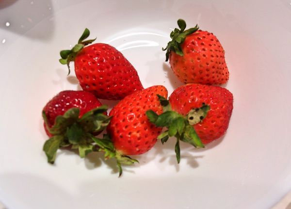 趣玩烘焙DIY:❤️美食❤️【台北。中正】 趣玩烘焙DIY★自己動手做甜點/親子情侶共遊聖地/好吃好玩好開心