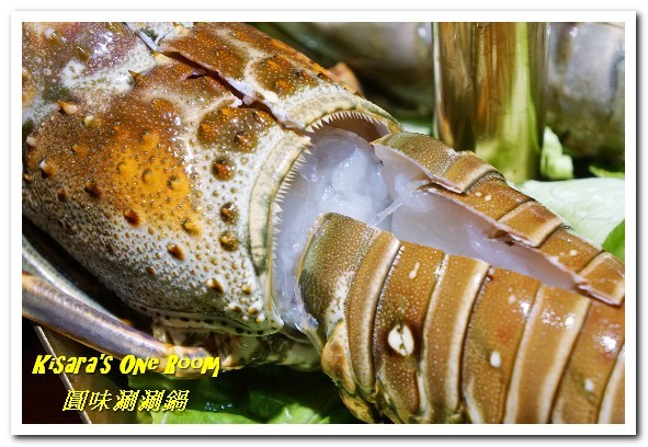 圓味涮涮鍋((新莊和興店))：新莊火鍋．真正的龍蝦才夠Q，來客戰龍蝦爆鍋！──圓味涮涮鍋