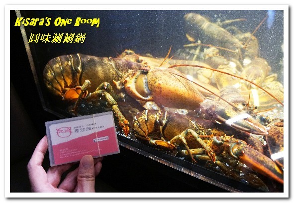 圓味涮涮鍋((新莊和興店))：新莊火鍋．真正的龍蝦才夠Q，來客戰龍蝦爆鍋！──圓味涮涮鍋