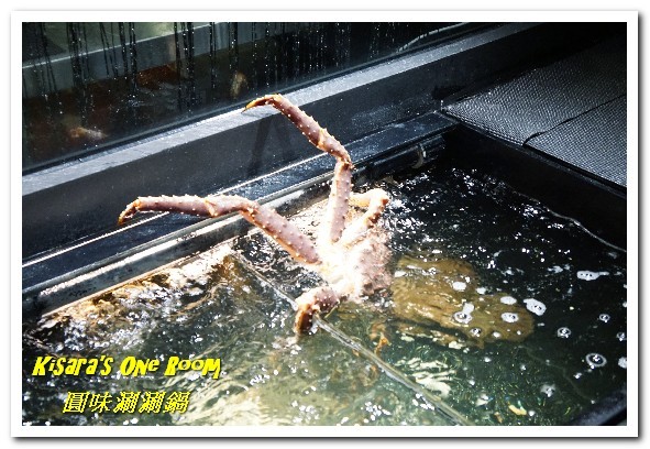 圓味涮涮鍋((新莊和興店))：新莊火鍋．真正的龍蝦才夠Q，來客戰龍蝦爆鍋！──圓味涮涮鍋