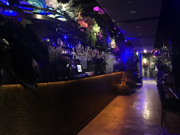 【Thaï. J】台北信義 - 叢林花園好食 拍照不停的超美泰式餐酒!