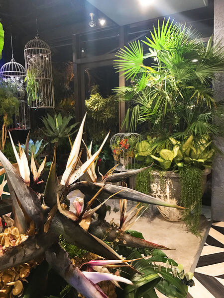 【Thaï. J】台北信義 - 叢林花園好食 拍照不停的超美泰式餐酒!