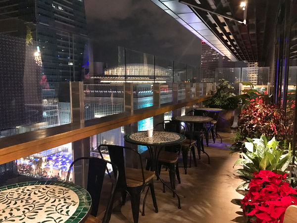 【Thaï. J】台北信義 - 叢林花園好食 拍照不停的超美泰式餐酒!