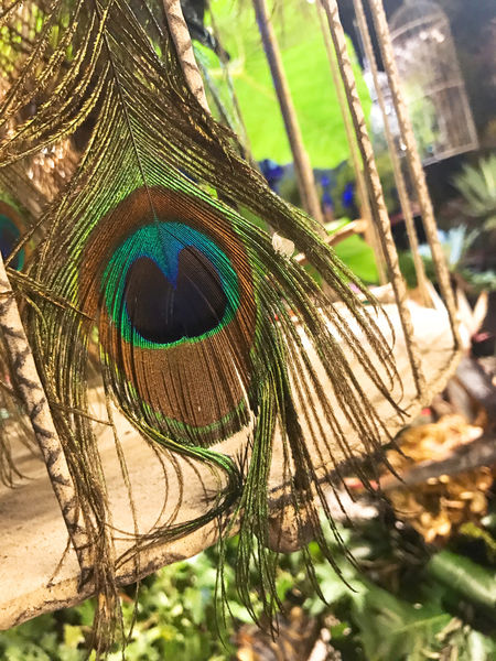 【Thaï. J】台北信義 - 叢林花園好食 拍照不停的超美泰式餐酒!