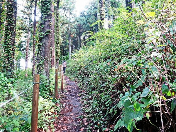 河口湖天上山公園：河口湖天上山公園 / 咔奇咔奇山兔子&狸貓的傳說 / 貍子茶屋好吃又好玩!!