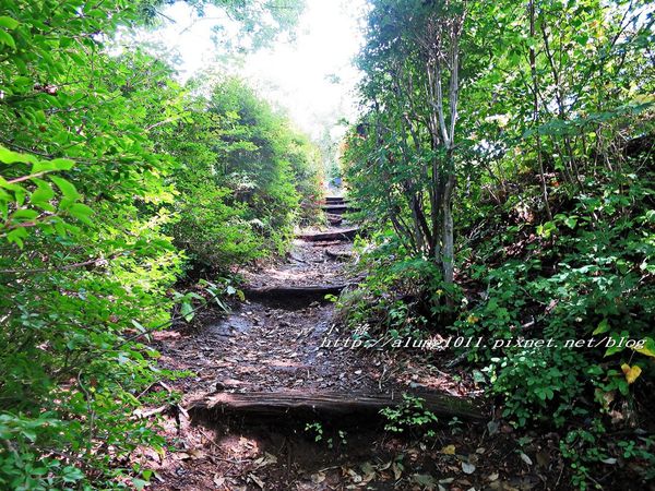 河口湖天上山公園：河口湖天上山公園 / 咔奇咔奇山兔子&狸貓的傳說 / 貍子茶屋好吃又好玩!!