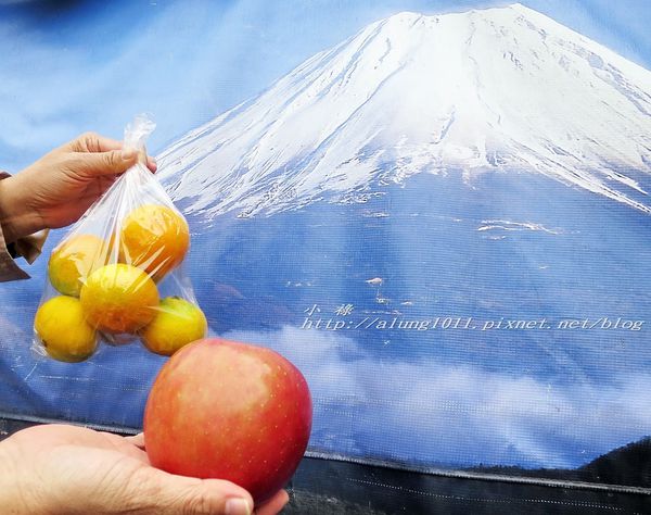 河口湖天上山公園：河口湖天上山公園 / 咔奇咔奇山兔子&狸貓的傳說 / 貍子茶屋好吃又好玩!!