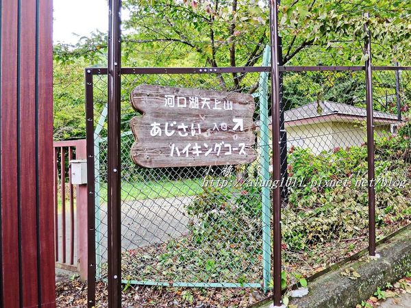 河口湖天上山公園：河口湖天上山公園 / 咔奇咔奇山兔子&狸貓的傳說 / 貍子茶屋好吃又好玩!!