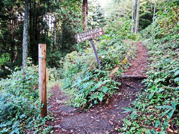 河口湖天上山公園：河口湖天上山公園 / 咔奇咔奇山兔子&狸貓的傳說 / 貍子茶屋好吃又好玩!!