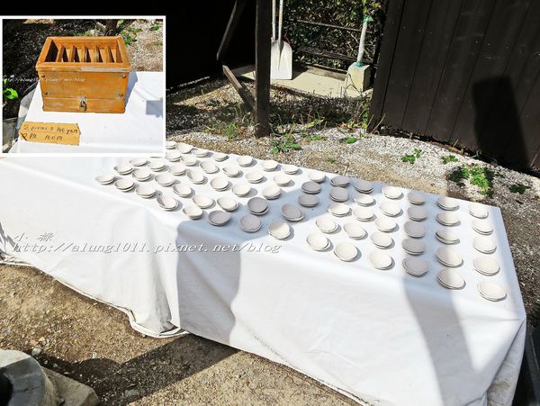 河口湖天上山公園：河口湖天上山公園 / 咔奇咔奇山兔子&狸貓的傳說 / 貍子茶屋好吃又好玩!!