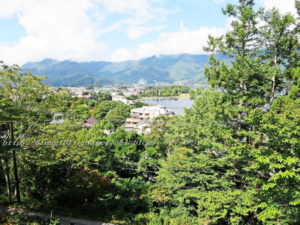 河口湖天上山公園：河口湖天上山公園 / 咔奇咔奇山兔子&狸貓的傳說 / 貍子茶屋好吃又好玩!!