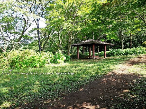 河口湖天上山公園：河口湖天上山公園 / 咔奇咔奇山兔子&狸貓的傳說 / 貍子茶屋好吃又好玩!!