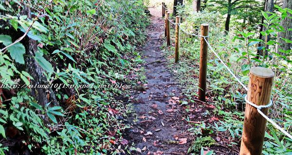 河口湖天上山公園：河口湖天上山公園 / 咔奇咔奇山兔子&狸貓的傳說 / 貍子茶屋好吃又好玩!!