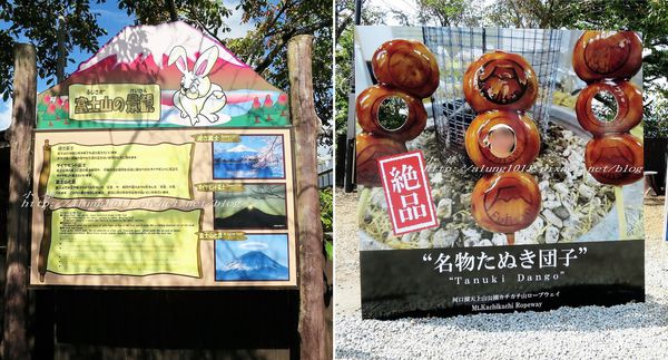 河口湖天上山公園：河口湖天上山公園 / 咔奇咔奇山兔子&狸貓的傳說 / 貍子茶屋好吃又好玩!!