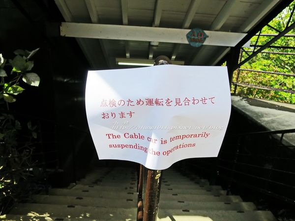 河口湖天上山公園：河口湖天上山公園 / 咔奇咔奇山兔子&狸貓的傳說 / 貍子茶屋好吃又好玩!!