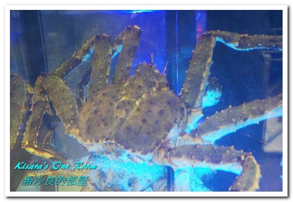 澎湖蒸鱻蒸氣火鍋：中永和火鍋．在地與國際接軌、變化多端的海鮮蒸鍋──澎湖蒸鱻蒸氣火鍋