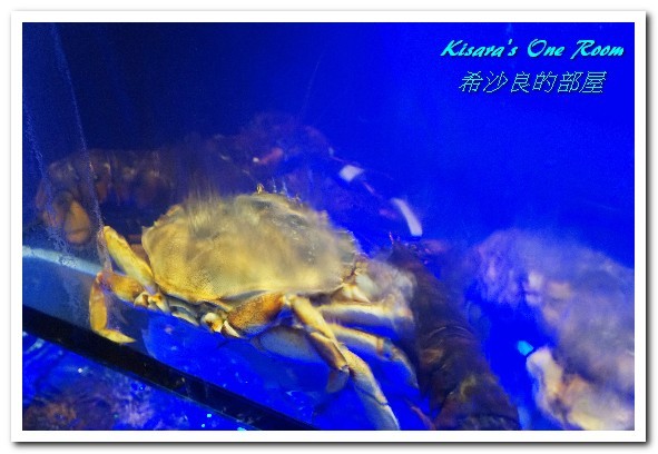 澎湖蒸鱻蒸氣火鍋：中永和火鍋．在地與國際接軌、變化多端的海鮮蒸鍋──澎湖蒸鱻蒸氣火鍋