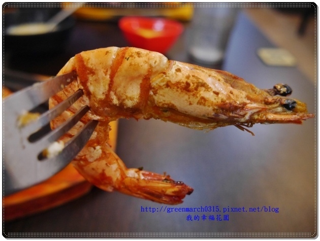 P9270581 (620x465).jpg