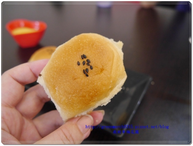 P9270556 (620x465).jpg