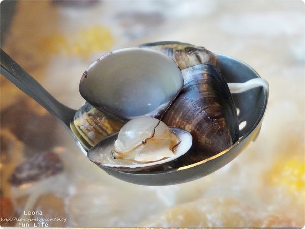 台中火鍋吃到飽 火鍋肉吃到飽 朝日堂火鍋 朝日堂鍋物菜單 昭日堂鍋物菜單 昭日堂火鍋價位 昭日堂鍋煮停車 平日限定肉肉吃到飽DSC05755.JPG