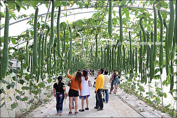 2018屏東熱帶農業博覽會22.jpg
