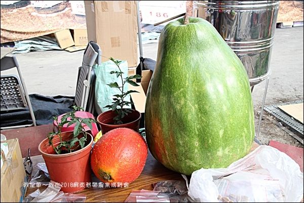 2018屏東熱帶農業博覽會27.jpg