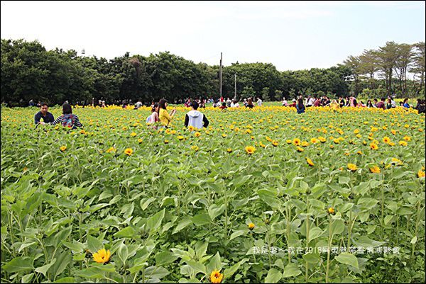 2018屏東熱帶農業博覽會30.jpg
