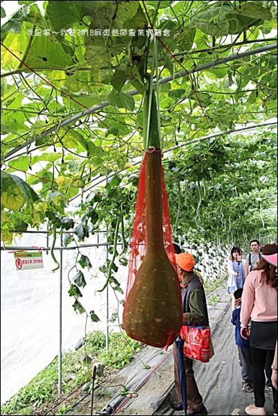 2018屏東熱帶農業博覽會20.jpg