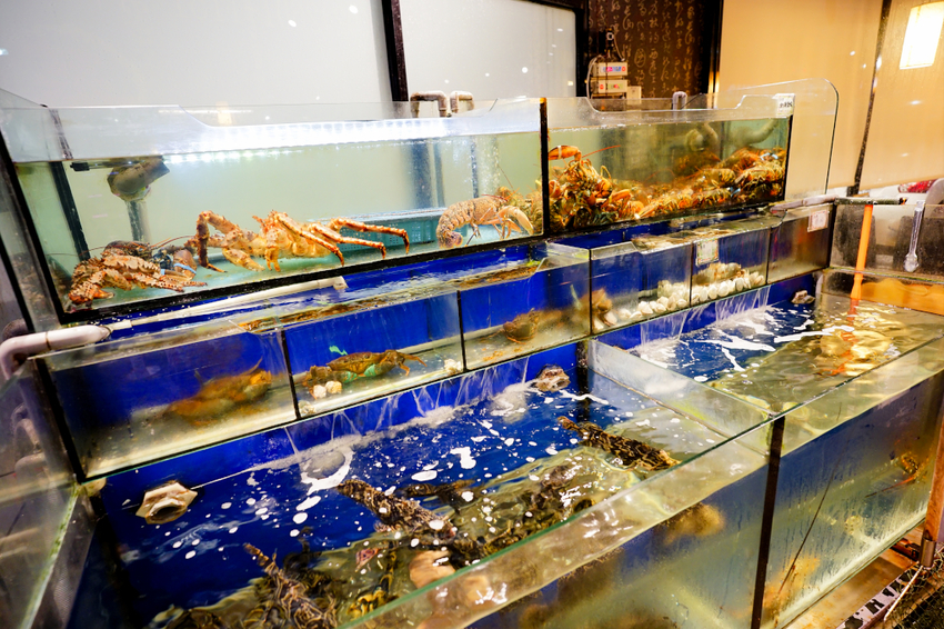 美食｜新北林口 蒸翻天海鮮蒸氣火鍋餐廳 林口美食推薦！澎湃海鮮痛風鍋每吃上癮~ - 奇奇一起玩樂趣